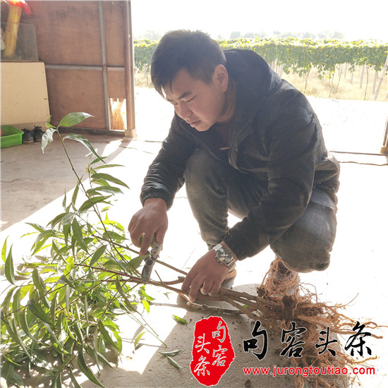 6_副本.jpg