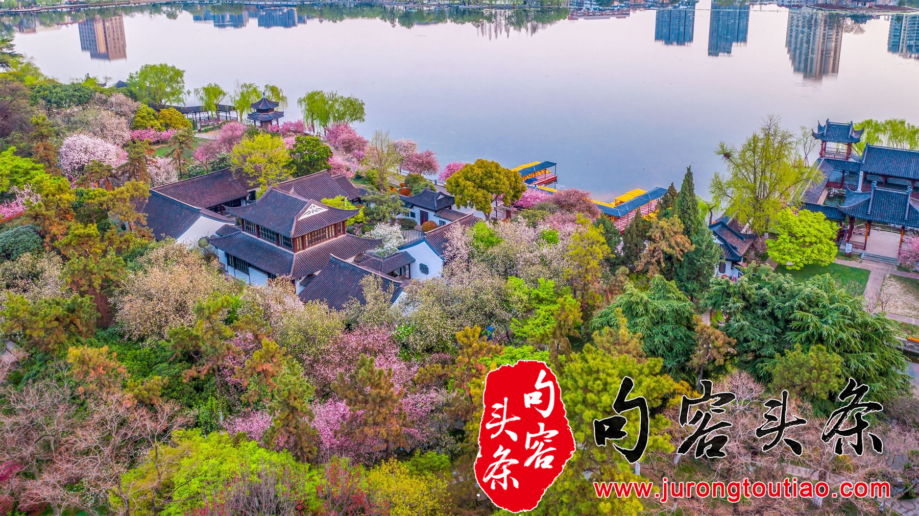 《满园盛放》+史爱勤+13913948372。_看图王_副本