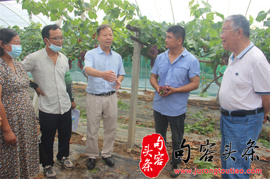 和全国扶贫楷模赵亚夫一道与葡萄大户交流.jpg