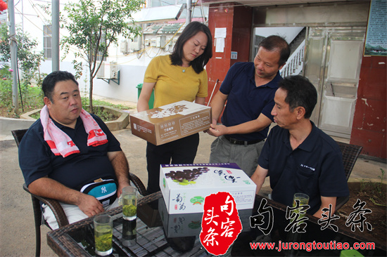 与日本专家探讨葡萄包装.jpg
