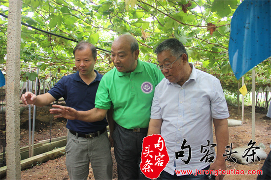 指导葡农施肥.jpg